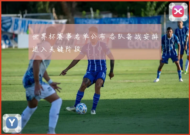 世界杯赛事名单公布 各队备战安排进入关键阶段