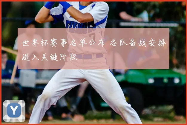 世界杯赛事名单公布 各队备战安排进入关键阶段