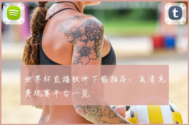 世界杯直播软件下载推荐,高清免费观赛平台一览