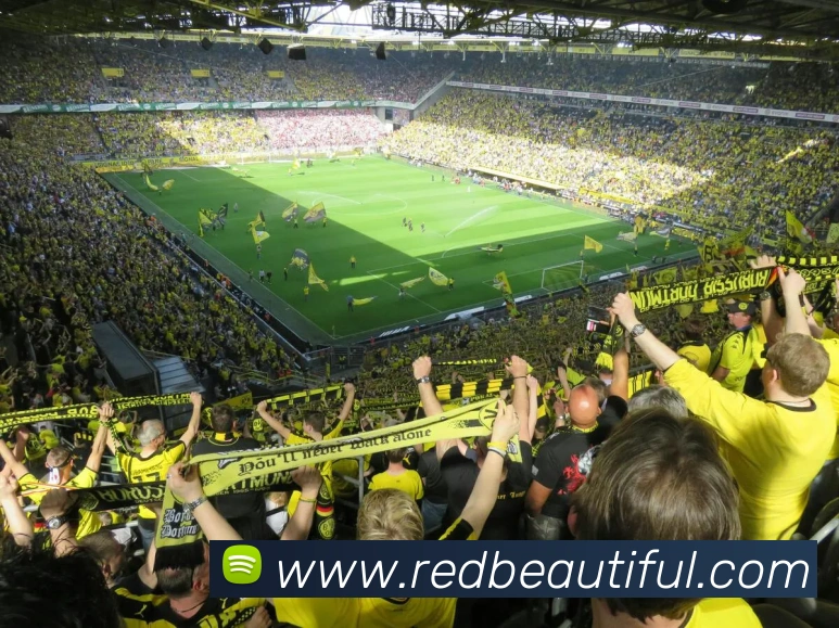 多媒体互动体验